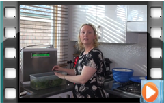 Erin using MMP-11 to clean Vegetables and Tomatoes